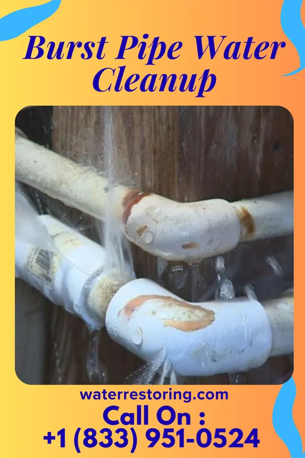 Burst Pipe Water Cleanup in Taunton, MA
