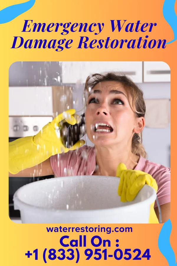 Emergency Water Damage Restoration in Taunton, MA