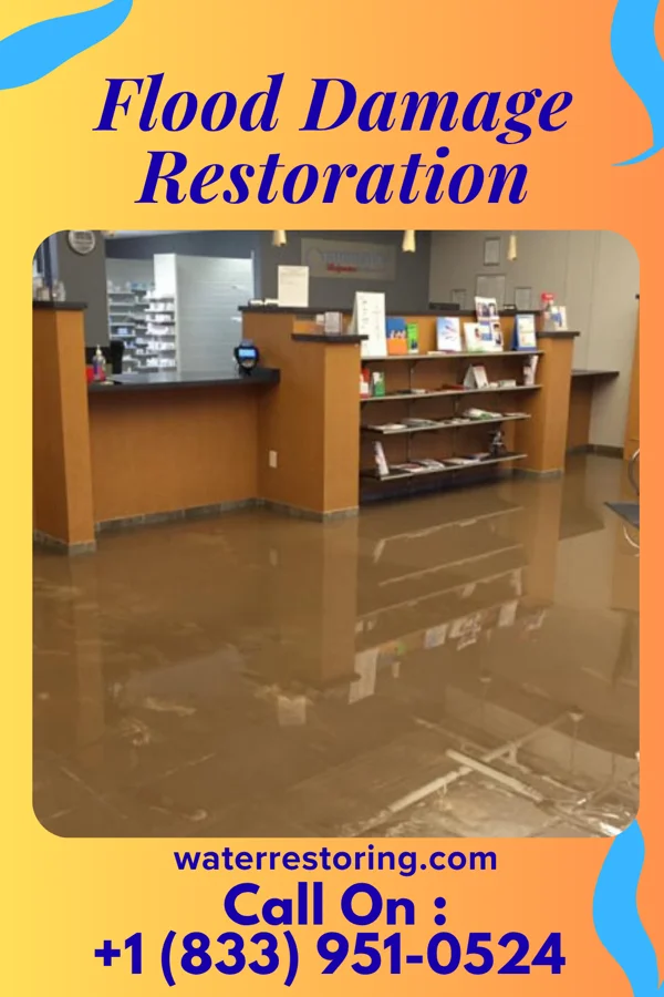 Flood Damage Restoration in Taunton, MA
