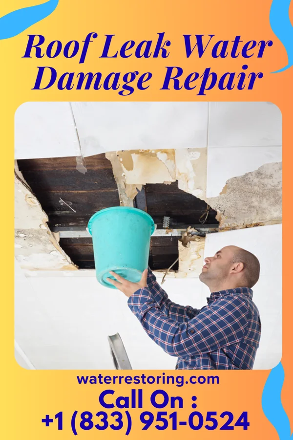 Roof Leak Water Damage Repair in Taunton, MA