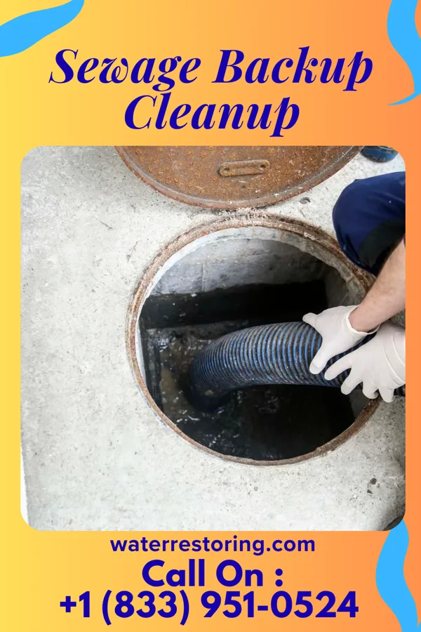Sewage Backup Cleanup in Taunton, MA