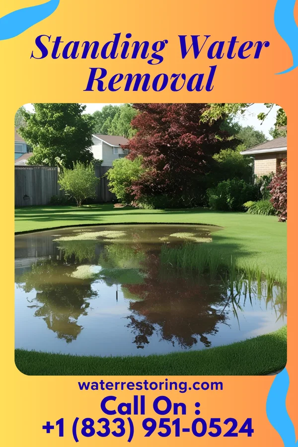 Standing Water Removal in Taunton, MA